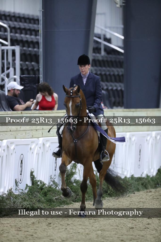 Proof Number 25R13_15663