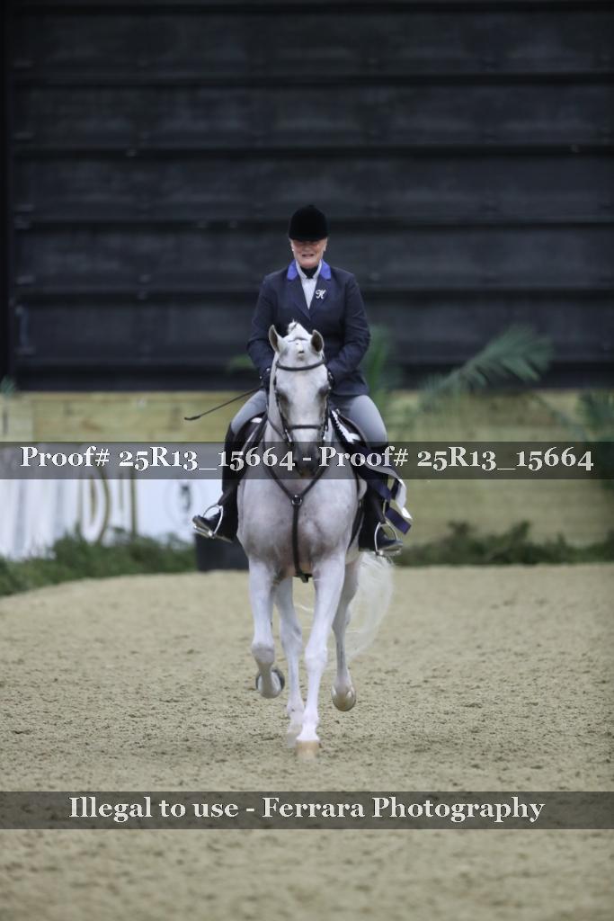 Proof Number 25R13_15664