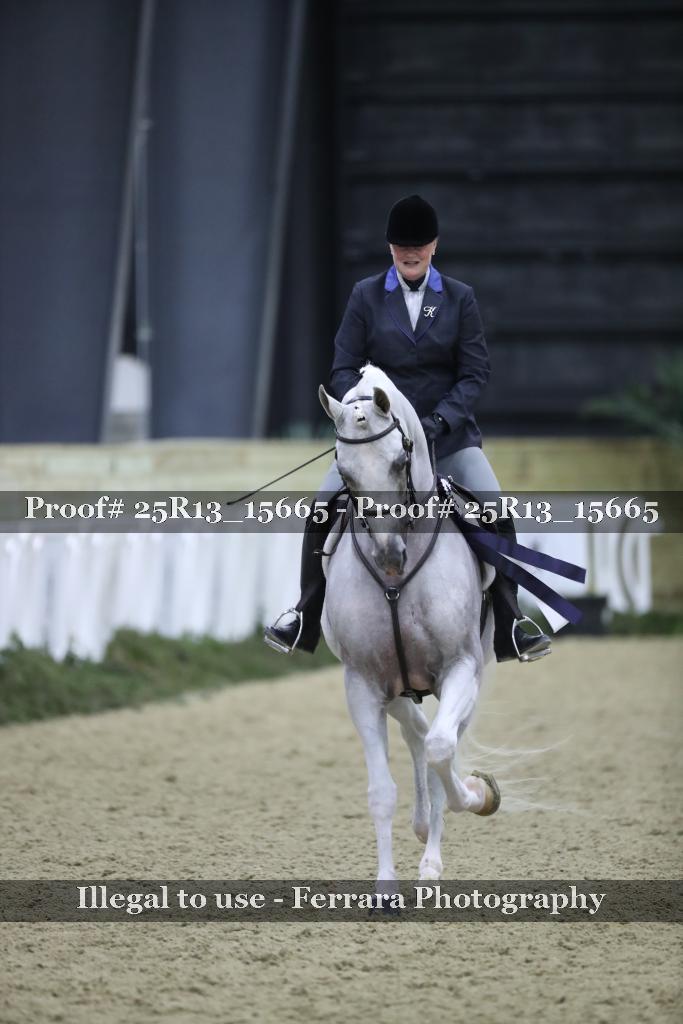 Proof Number 25R13_15665