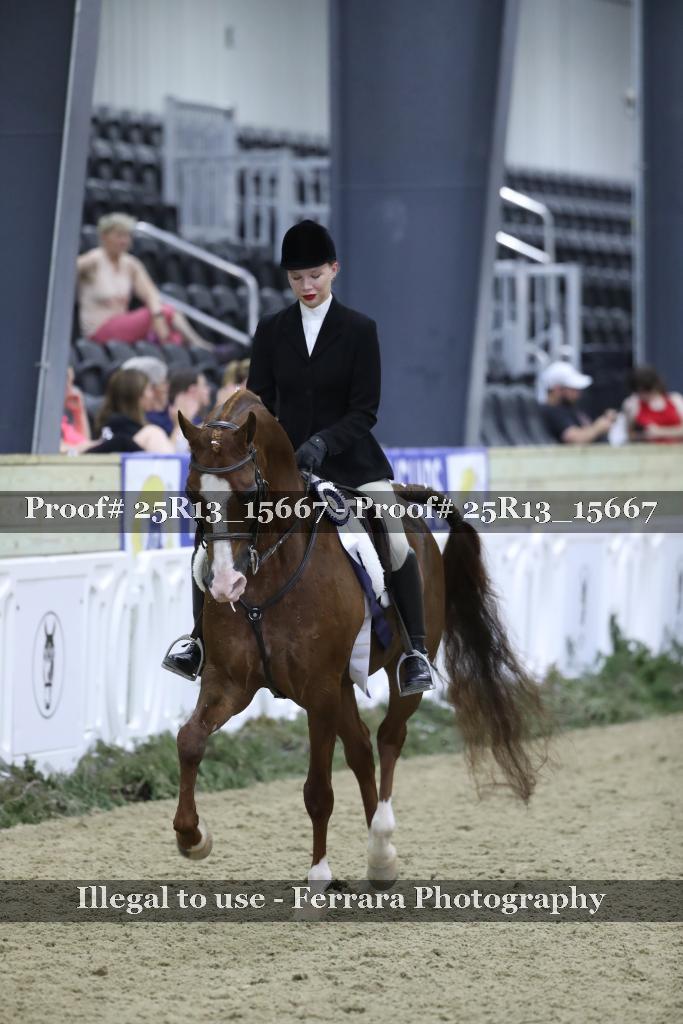 Proof Number 25R13_15667