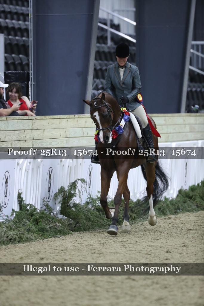Proof Number 25R13_15674