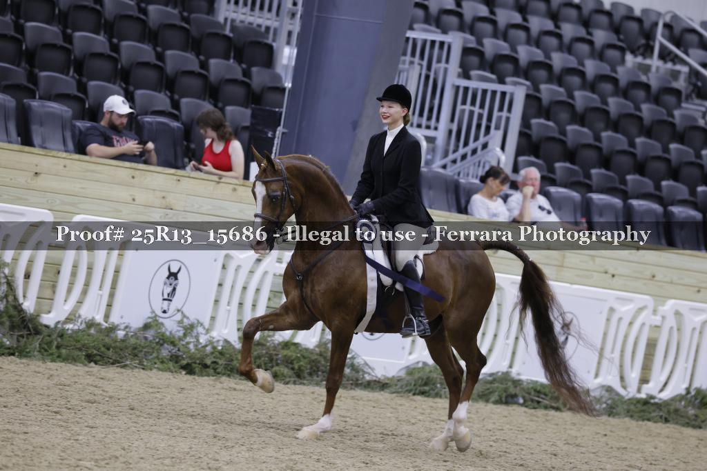 Proof Number 25R13_15686