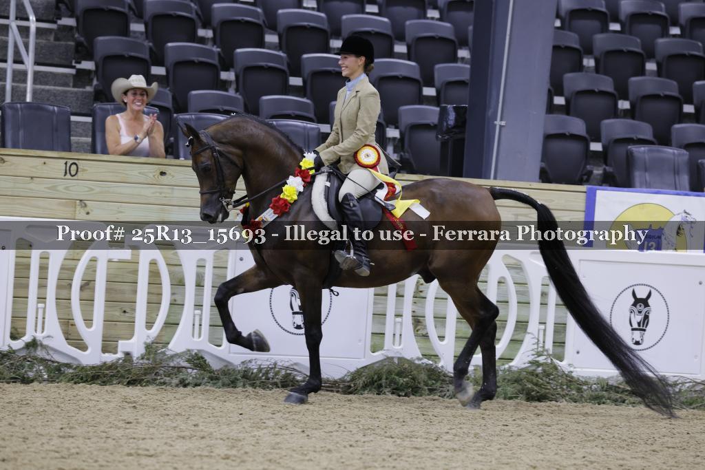 Proof Number 25R13_15693