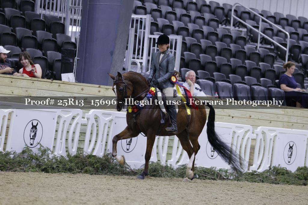 Proof Number 25R13_15696
