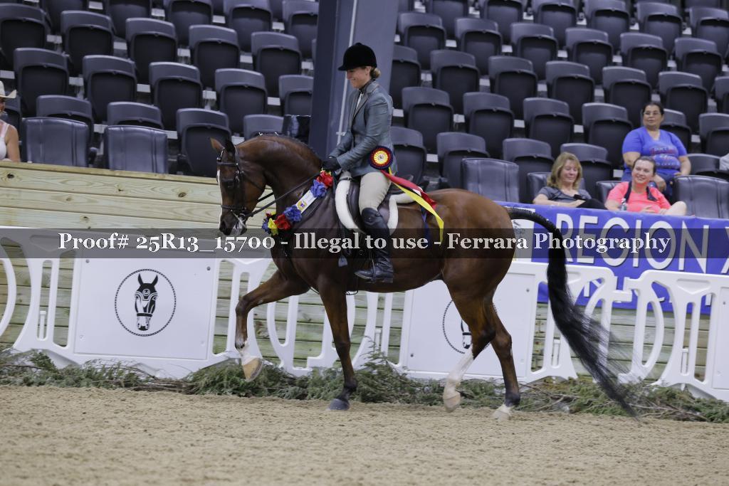 Proof Number 25R13_15700