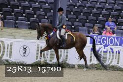25R13_15700 thumbnail