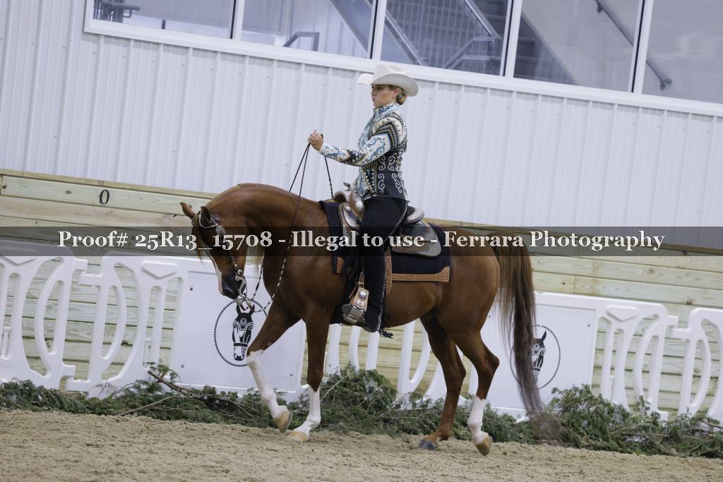Proof Number 25R13_15708