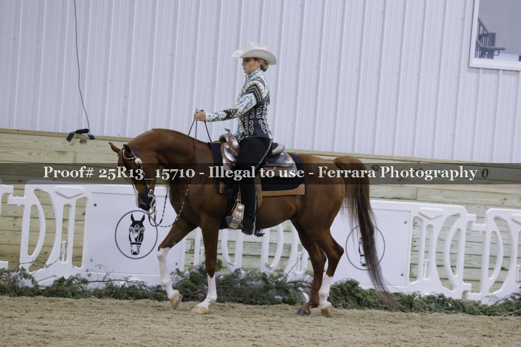 Proof Number 25R13_15710