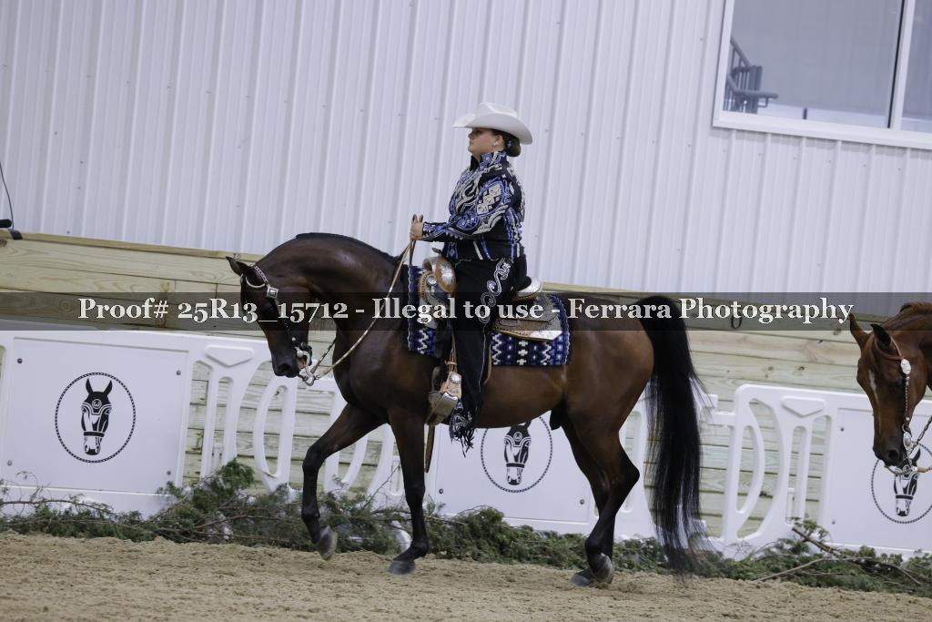 Proof Number 25R13_15712