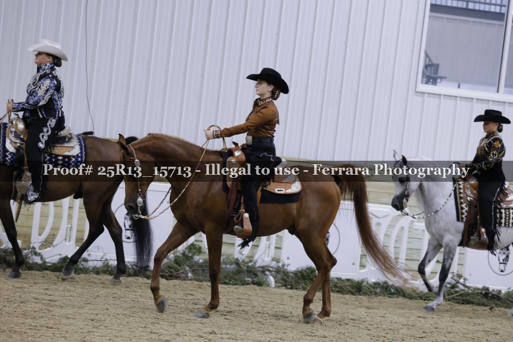Proof Number 25R13_15713