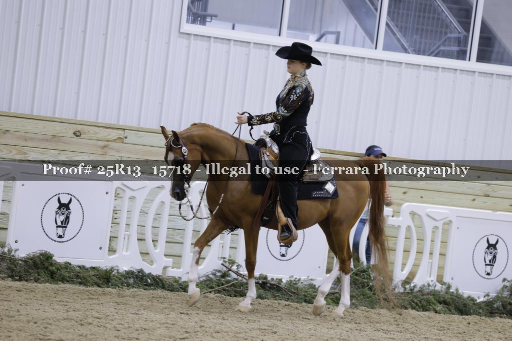 Proof Number 25R13_15718