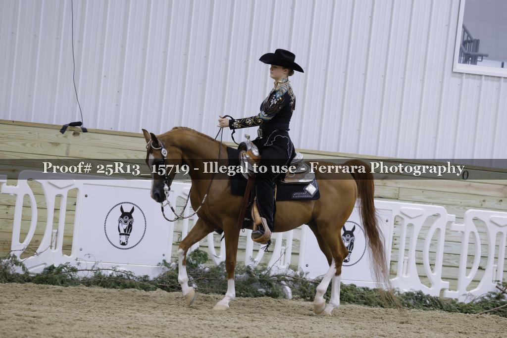 Proof Number 25R13_15719