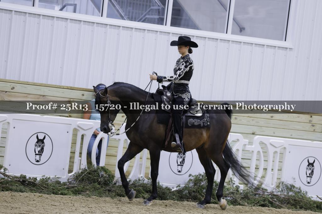 Proof Number 25R13_15720