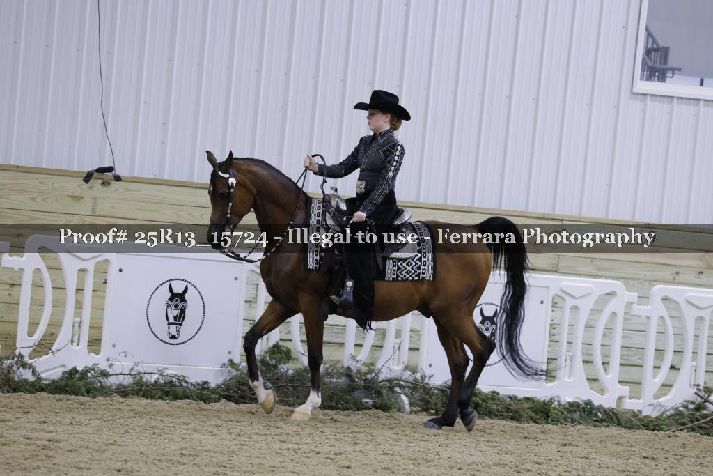 Proof Number 25R13_15724