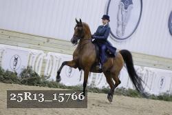 25R13_15766 thumbnail