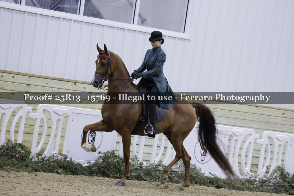 Proof Number 25R13_15769