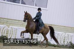 25R13_15769 thumbnail