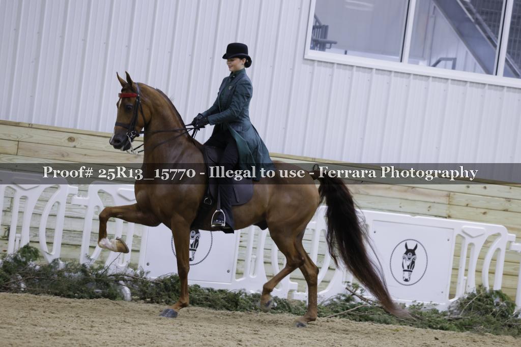 Proof Number 25R13_15770