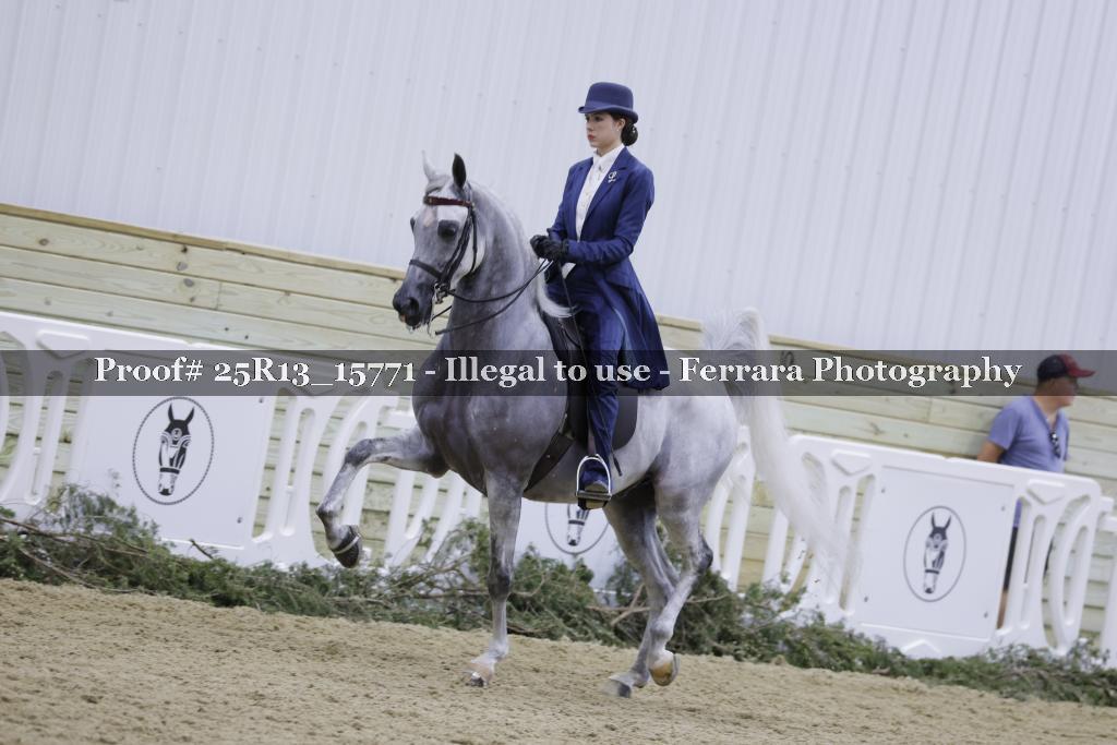Proof Number 25R13_15771