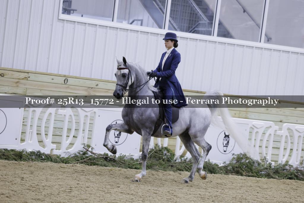 Proof Number 25R13_15772