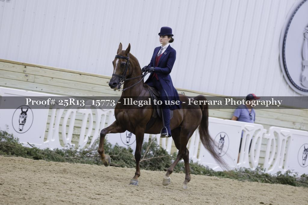 Proof Number 25R13_15773