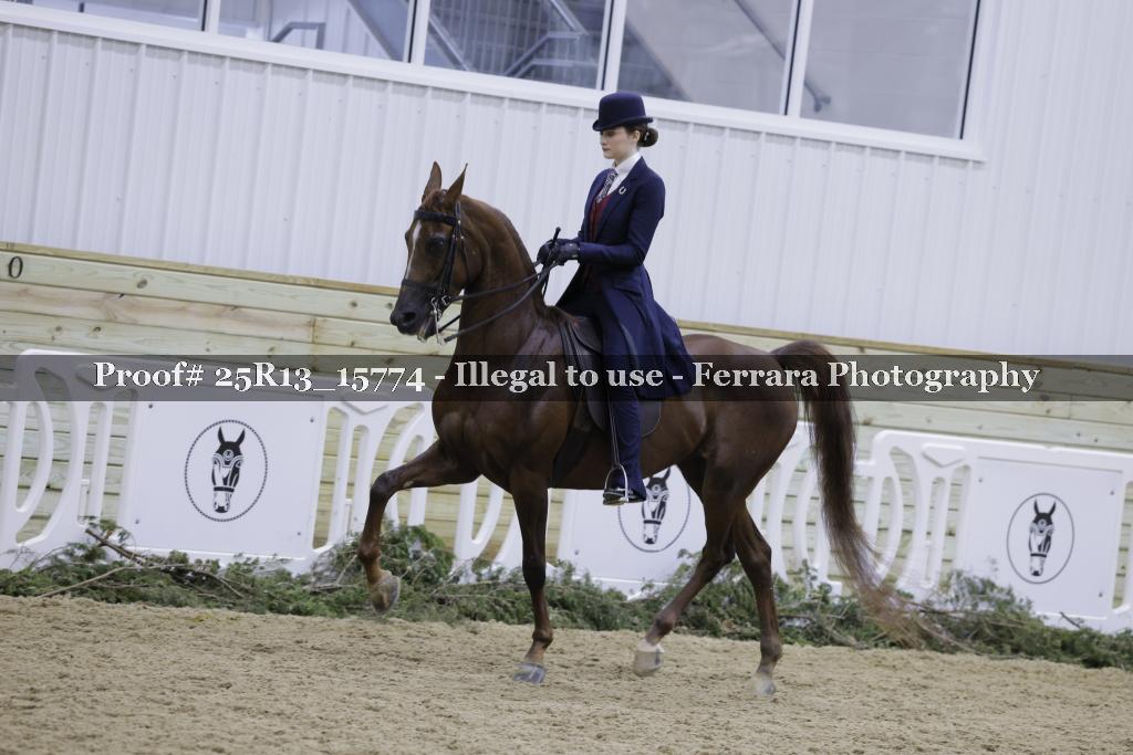 Proof Number 25R13_15774