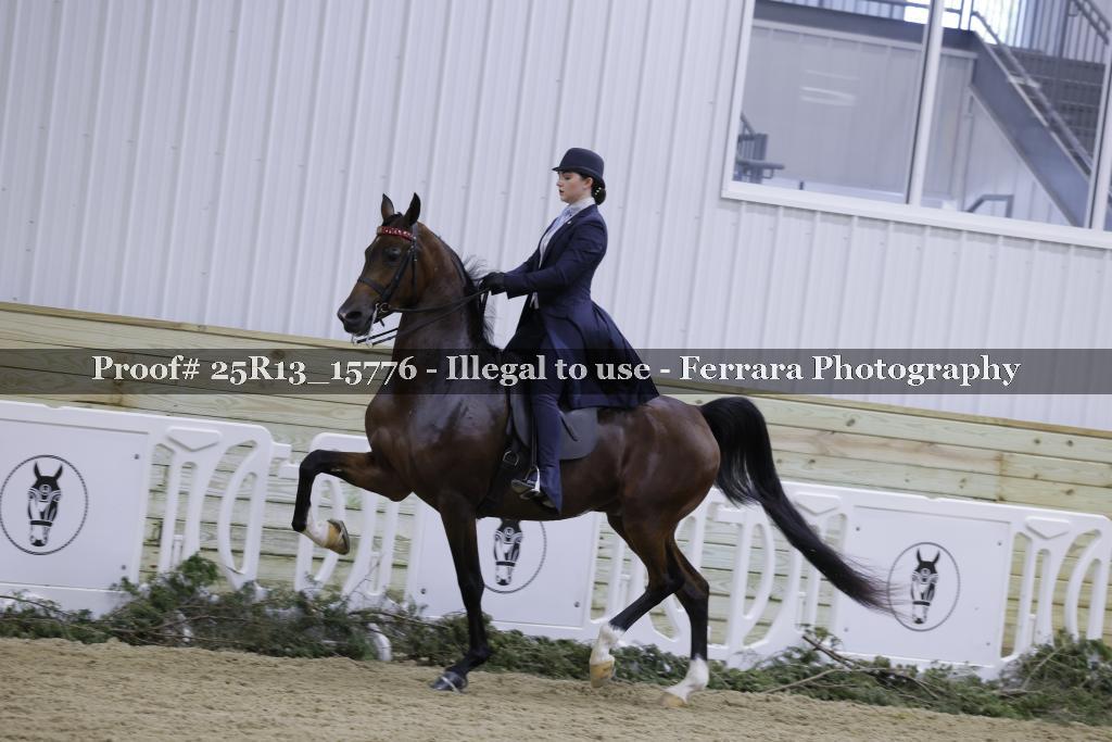 Proof Number 25R13_15776