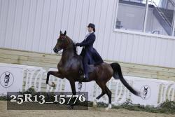 25R13_15776 thumbnail