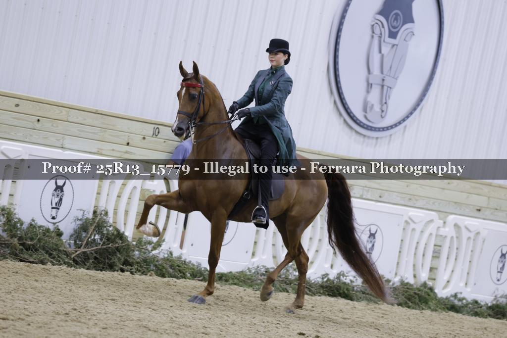 Proof Number 25R13_15779