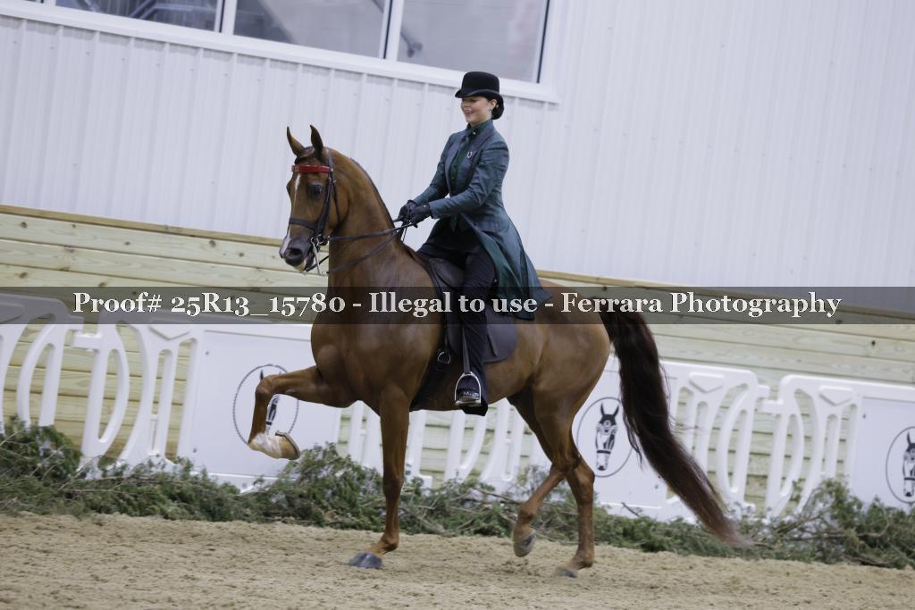 Proof Number 25R13_15780