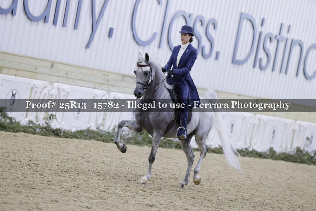 Proof Number 25R13_15782