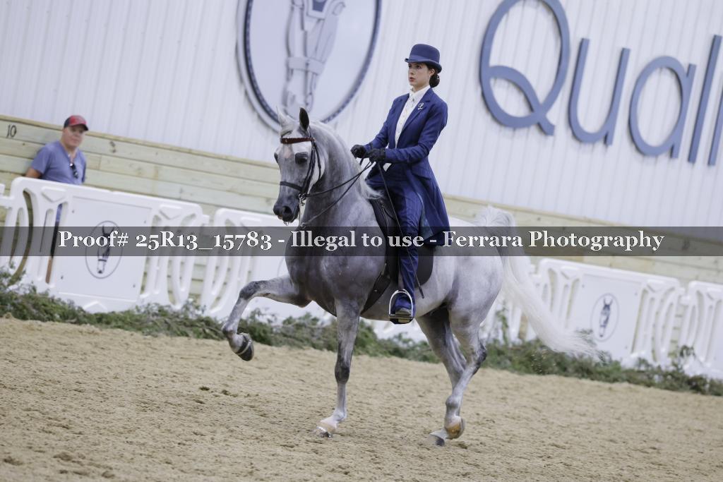 Proof Number 25R13_15783