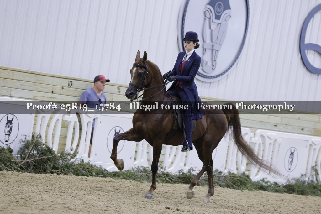 Proof Number 25R13_15784