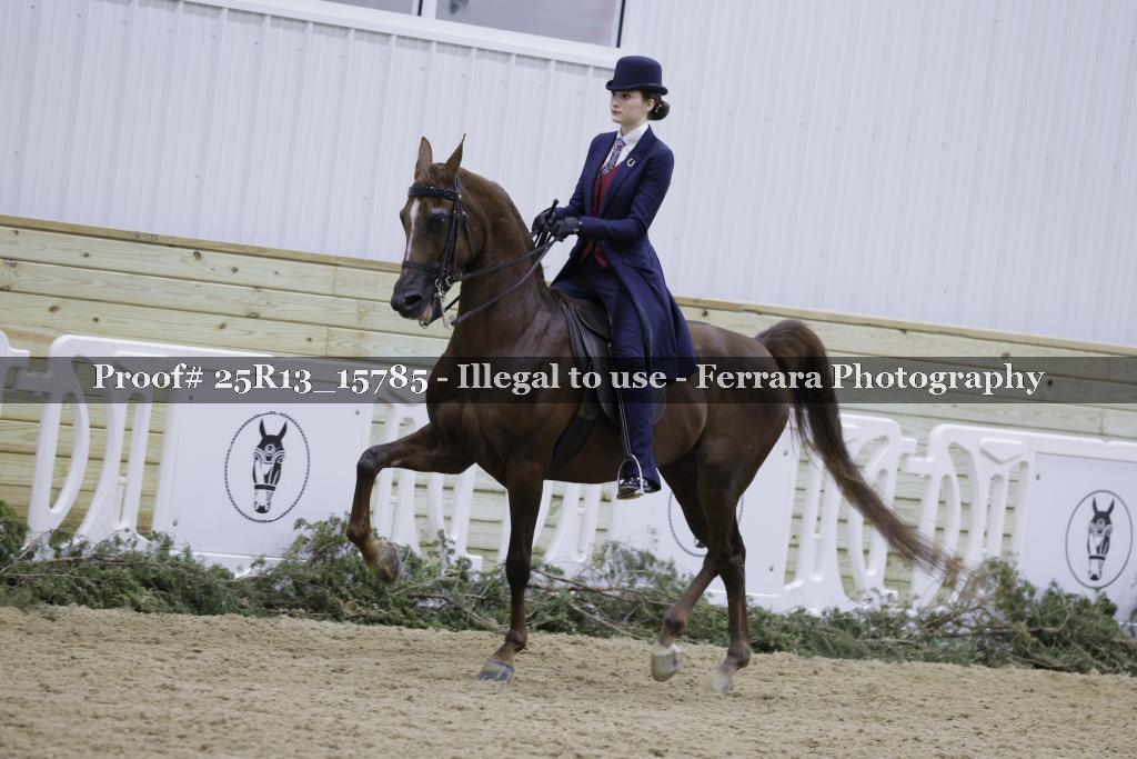 Proof Number 25R13_15785