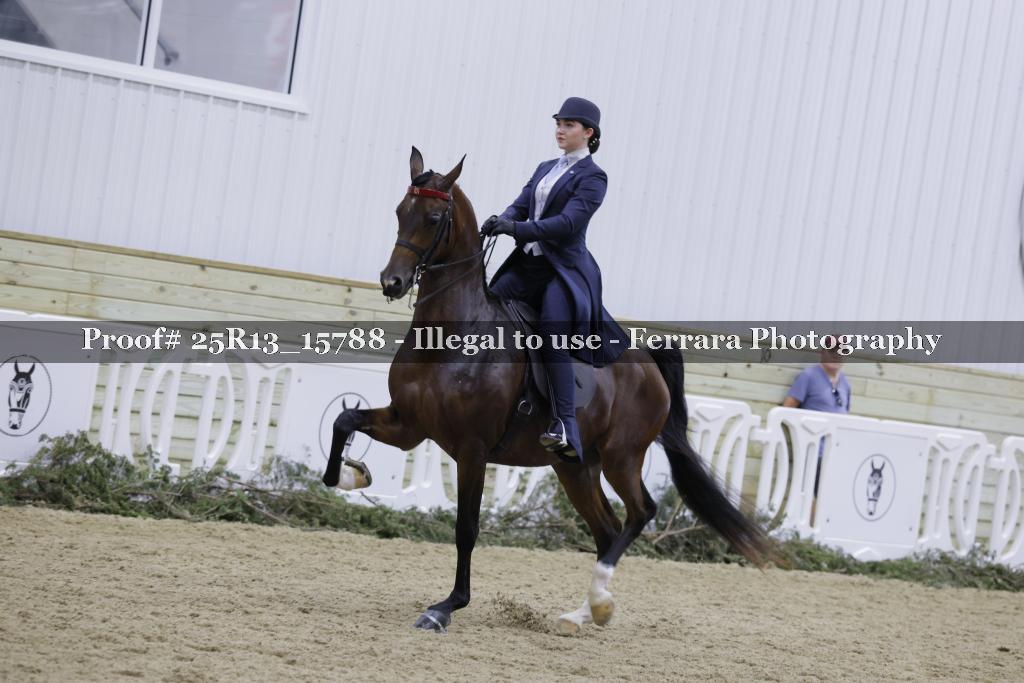 Proof Number 25R13_15788