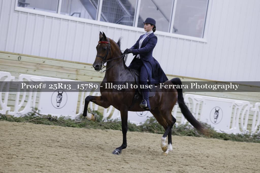 Proof Number 25R13_15789