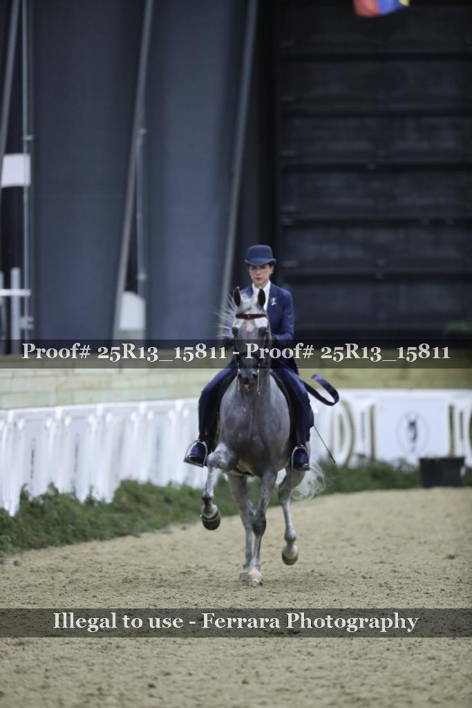 Proof Number 25R13_15811