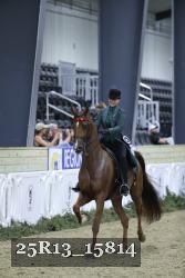 25R13_15814 thumbnail
