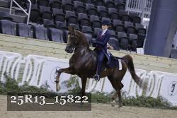 25R13_15822 thumbnail