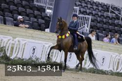 25R13_15841 thumbnail