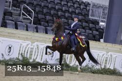 25R13_15848 thumbnail