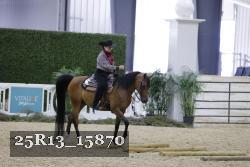 25R13_15870 thumbnail