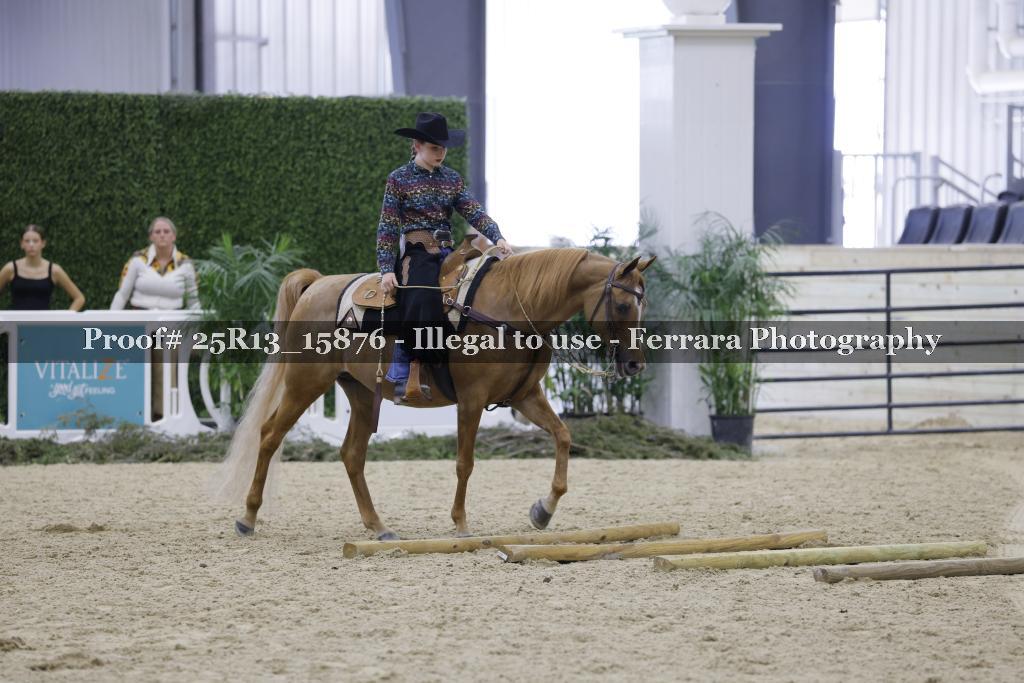 Proof Number 25R13_15876