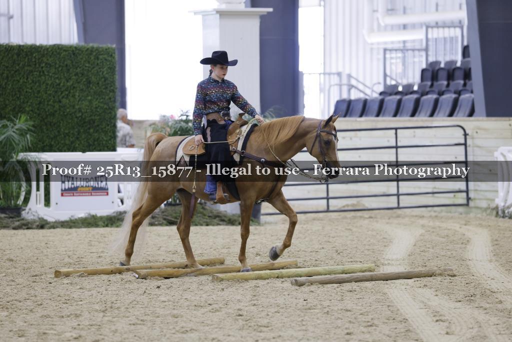 Proof Number 25R13_15877
