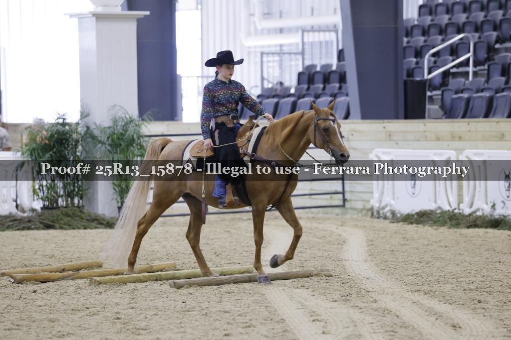 Proof Number 25R13_15878