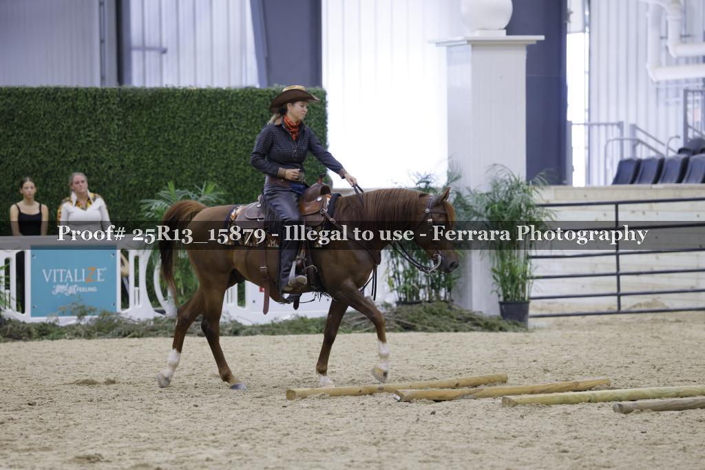 Proof Number 25R13_15879