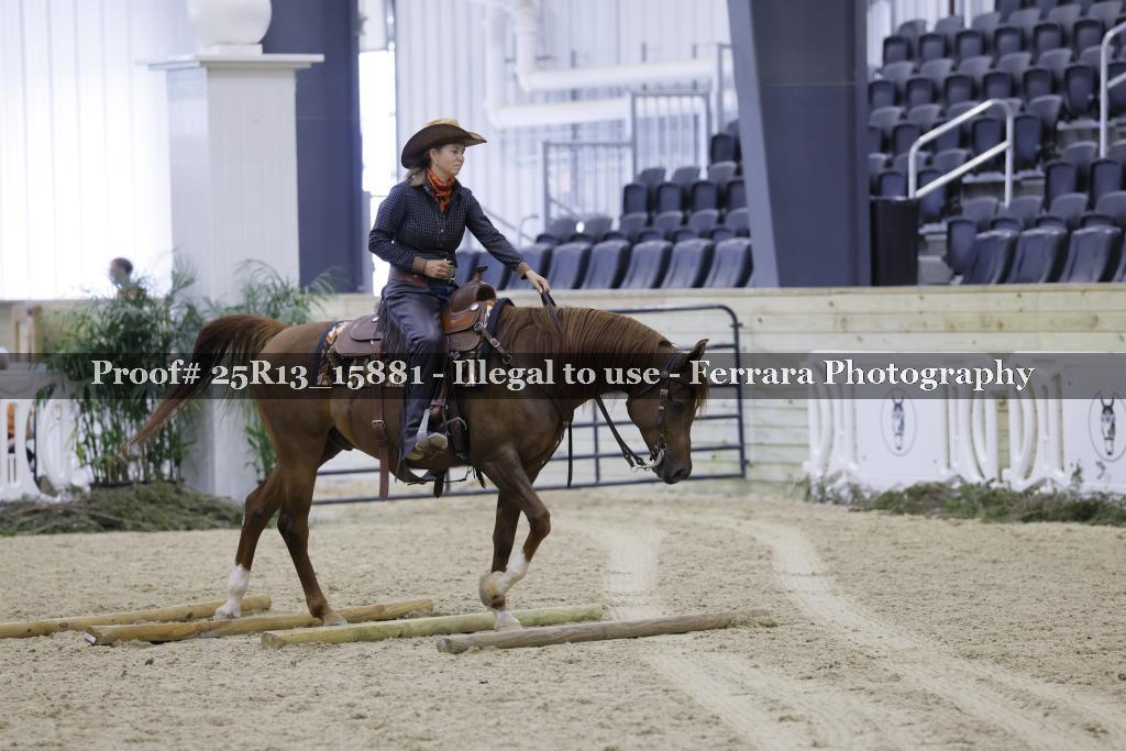 Proof Number 25R13_15881