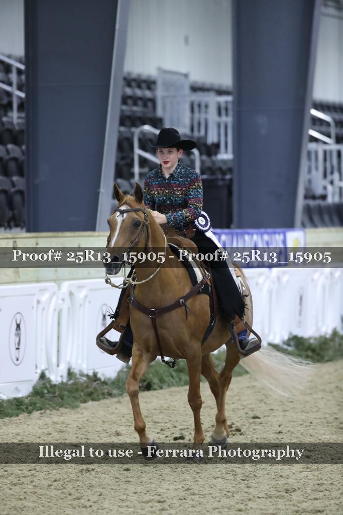 Proof Number 25R13_15905