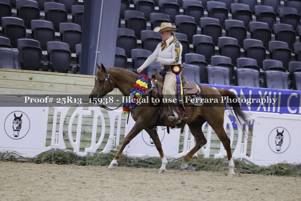Proof Number 25R13_15938