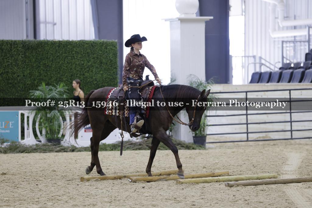 Proof Number 25R13_15946